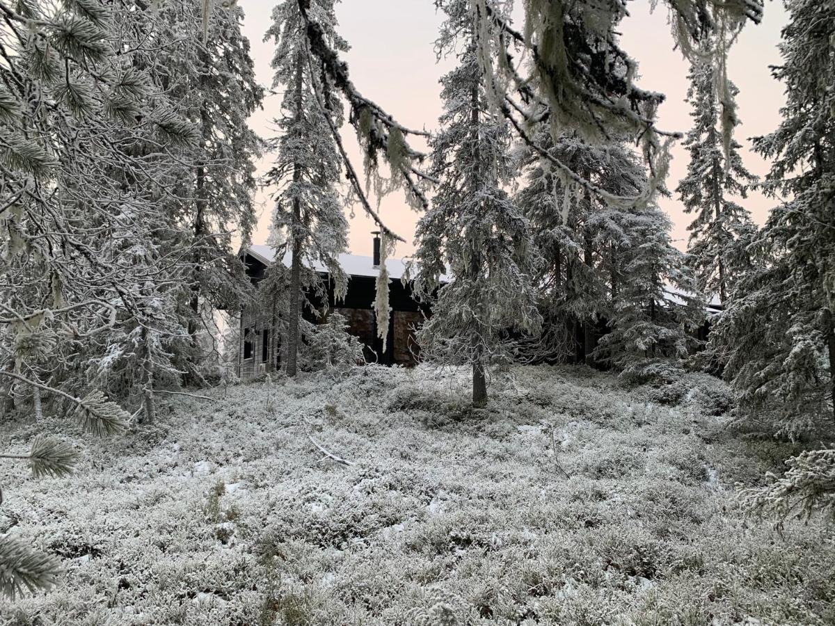 Chale Naava Villa Rukatunturi Dış mekan fotoğraf