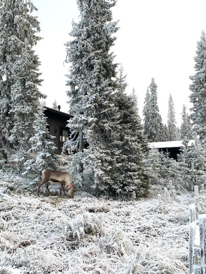 Chale Naava Villa Rukatunturi Dış mekan fotoğraf